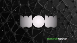 Vi Powils Appointed CEO of World of Women to Lead Next Growth Phase