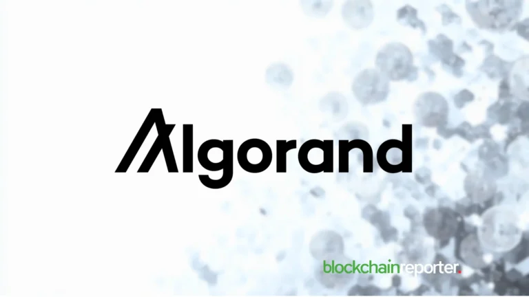 Algorand Names William Herkelrath Chief Executive Officer