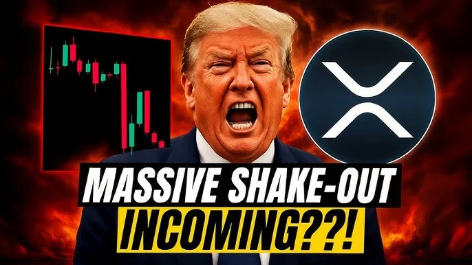Which Of These Is A Better Crypto To Buy Now: Desoc, Ripple, Or Cardano? 1 trump ripple
