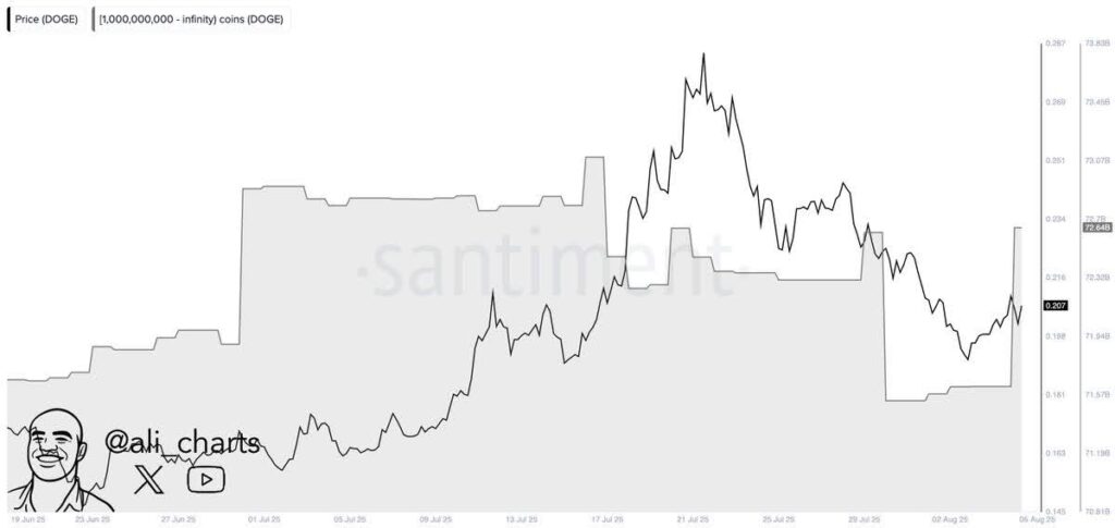 Remittix (RTX) vs Dogecoin (DOGE) vs Solana (SOL): Which Crypto Can Turn $1,000 Into $50,000 In 2025? 3 doge chart