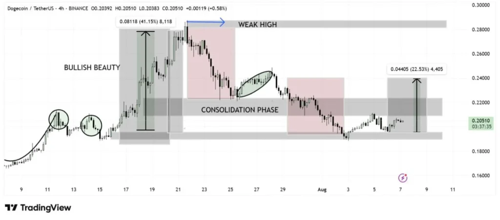 Cardano (ADA) vs Dogecoin (DOGE) vs Remittix (RTX): Which Crypto Becomes A $100 Billion Asset First? 5 doge price chart