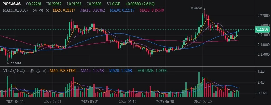 doge usd 
