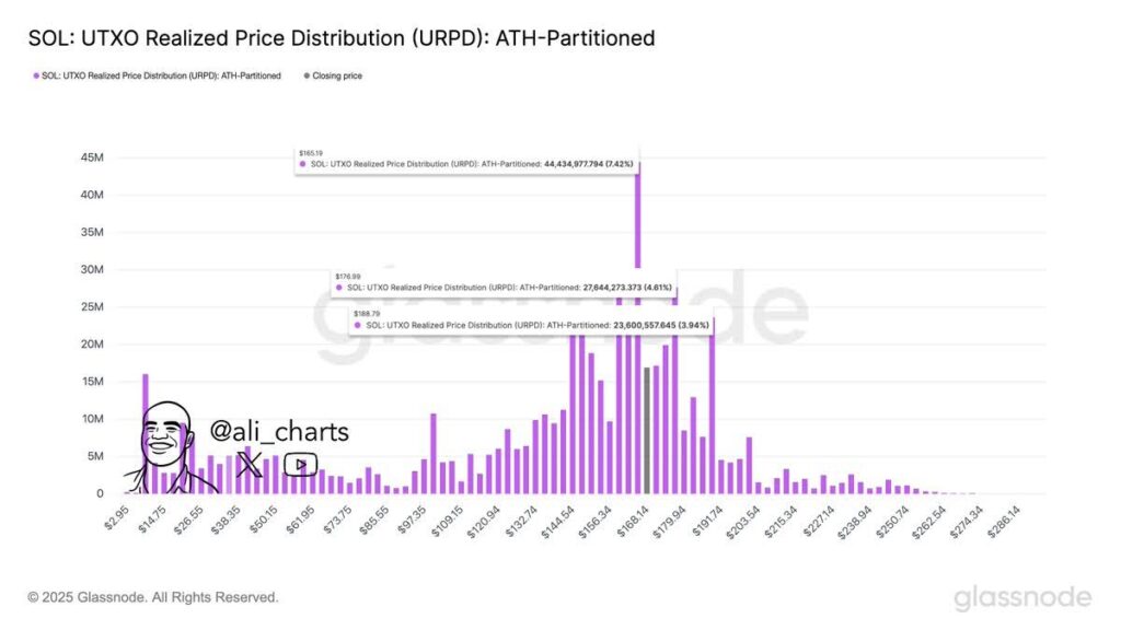 Remittix (RTX) vs Dogecoin (DOGE) vs Solana (SOL): Which Crypto Can Turn $1,000 Into $50,000 In 2025? 4 sol chart