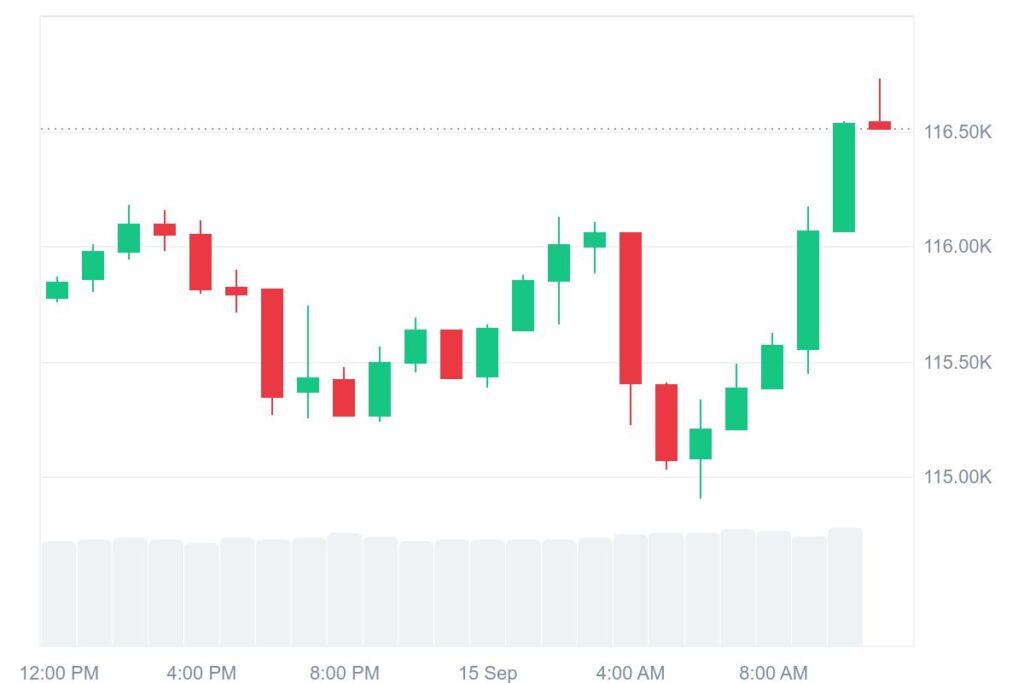 BTC Technical Price Chart