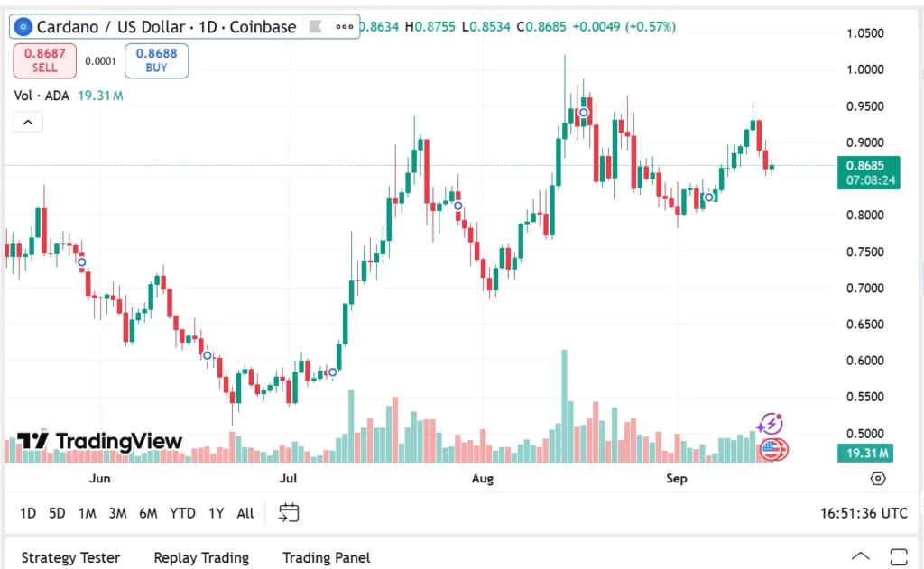 Chart25325