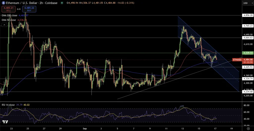 Chart4262