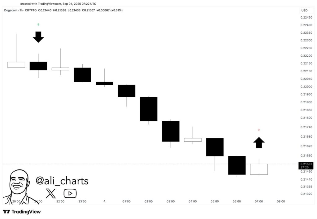 Shiba Inu And Dogecoin Lose Steam As Remittix Emerges As PayFi Favorite Poised For A Headline Grabbing Breakout 4 Remittix348 2