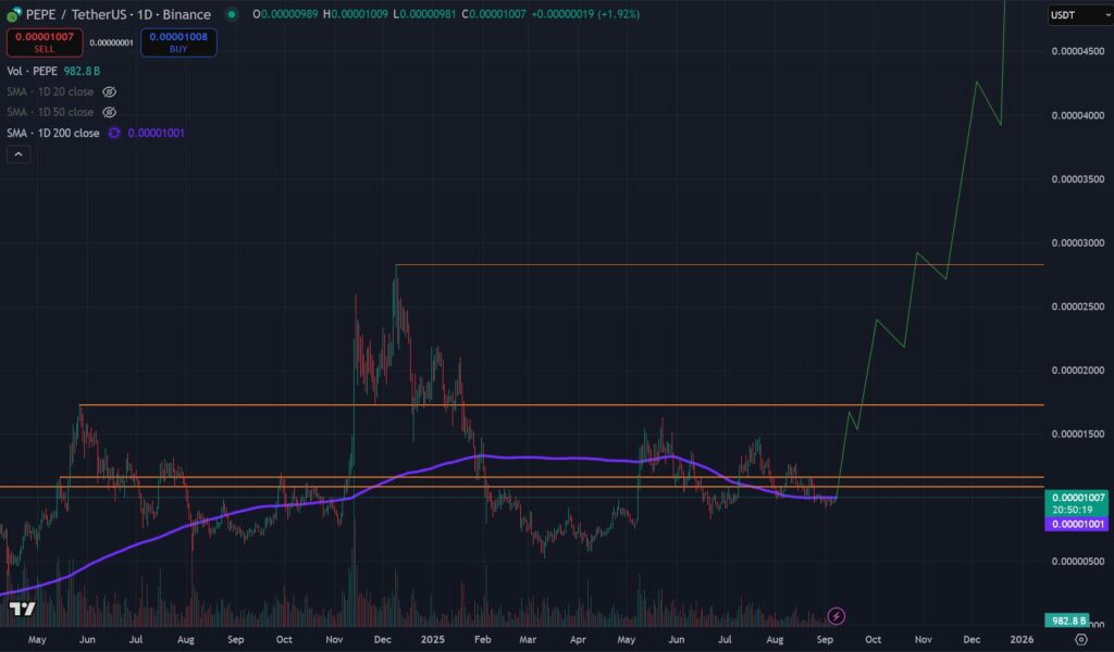 Remittix, Cardano & Pepe Are Among The Best Altcoins To Buy Now For Maximum Returns 4 Remittix4747 2