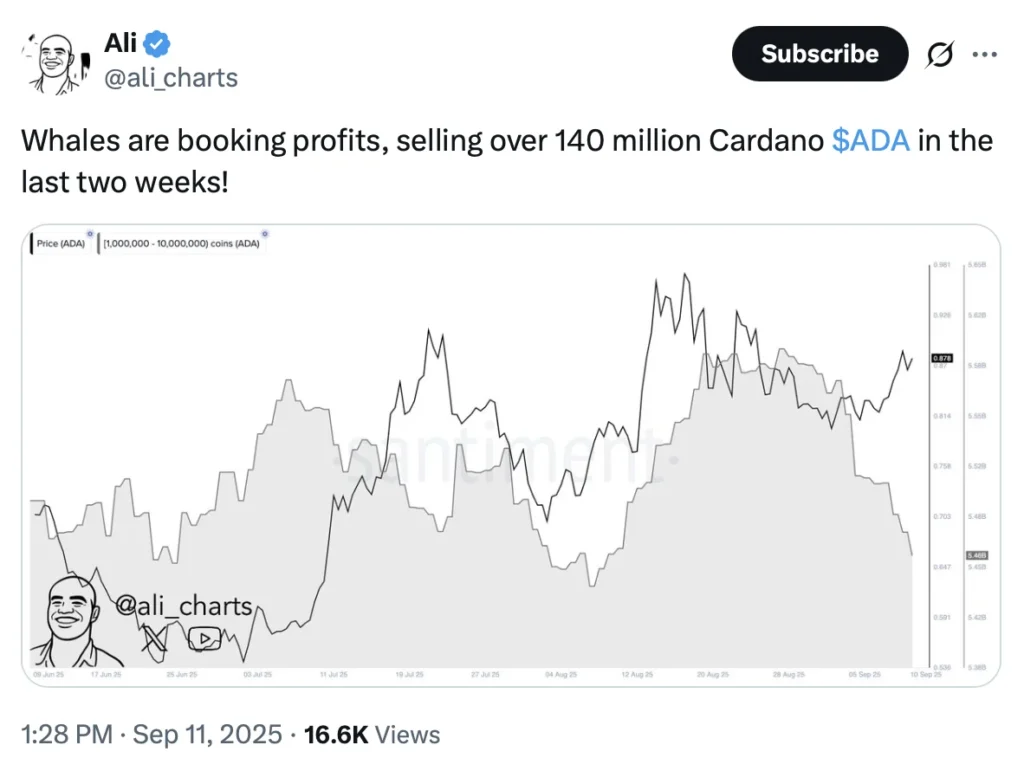 XRP Price Prediction and Cardano News Overshadowed as Rollblock Captures Market Leadership Buzz 4 Rollblock46426 1