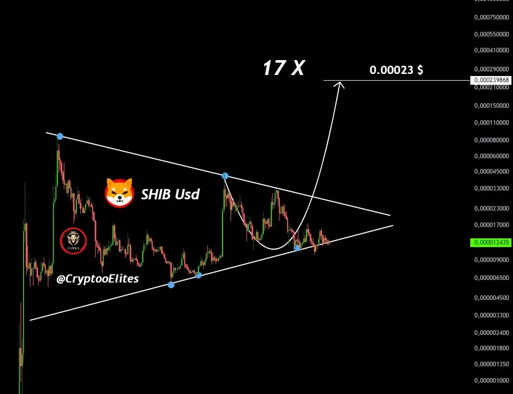Tapzi, SHIB, or PENGU: Which is the Best Crypto to Buy Today? Experts Weigh In as El Salvador Buys $50M Gold 3 TAPZ383 3