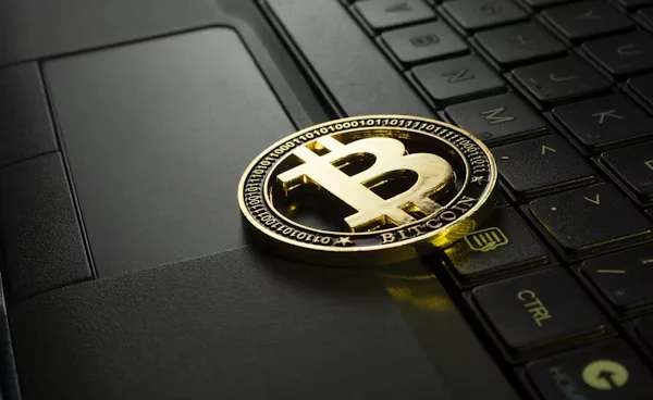 Top Sports Betting Apps 2025: Spartans Wins Over Bet365, DraftKings, and Fanatics 2 btc