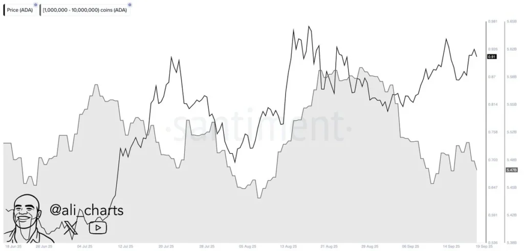 Cardano Price Prediction: ADA Breakout Prepares for $7, But Layer Brett Is Getting Major Hype From Traders 3 chart135135 1 3