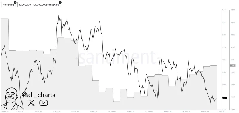 chart135135 5