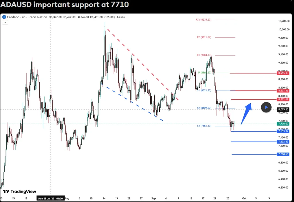 chart66624
