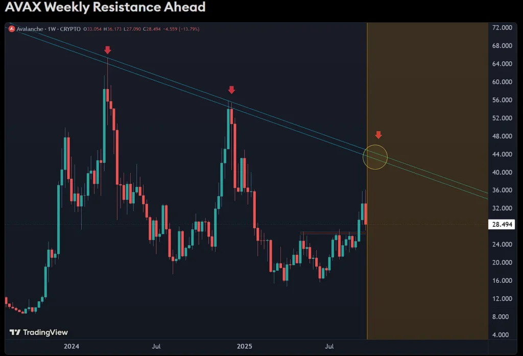 chart77537 2 1