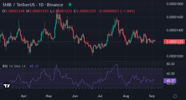 Who Will Take SHIB's Place in the Meme Market?: Predicting Whether Pepe or XYZVerse Has the Highest ROI Potential in 2025 5 shib chart