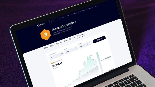 $100/Month in Bitcoin Since 2015 Would Have Turned $13,700 Into $632,000, Coinbird Analysis Shows